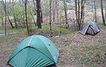 Походная палатка RedFox (Saleva) 3х-местная