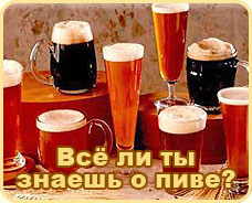 Энциклопедия пива